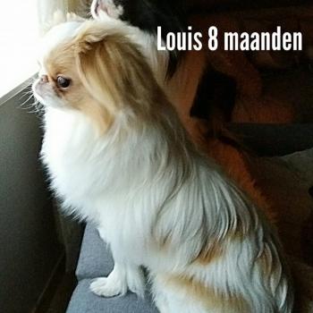 Louis 8 mois